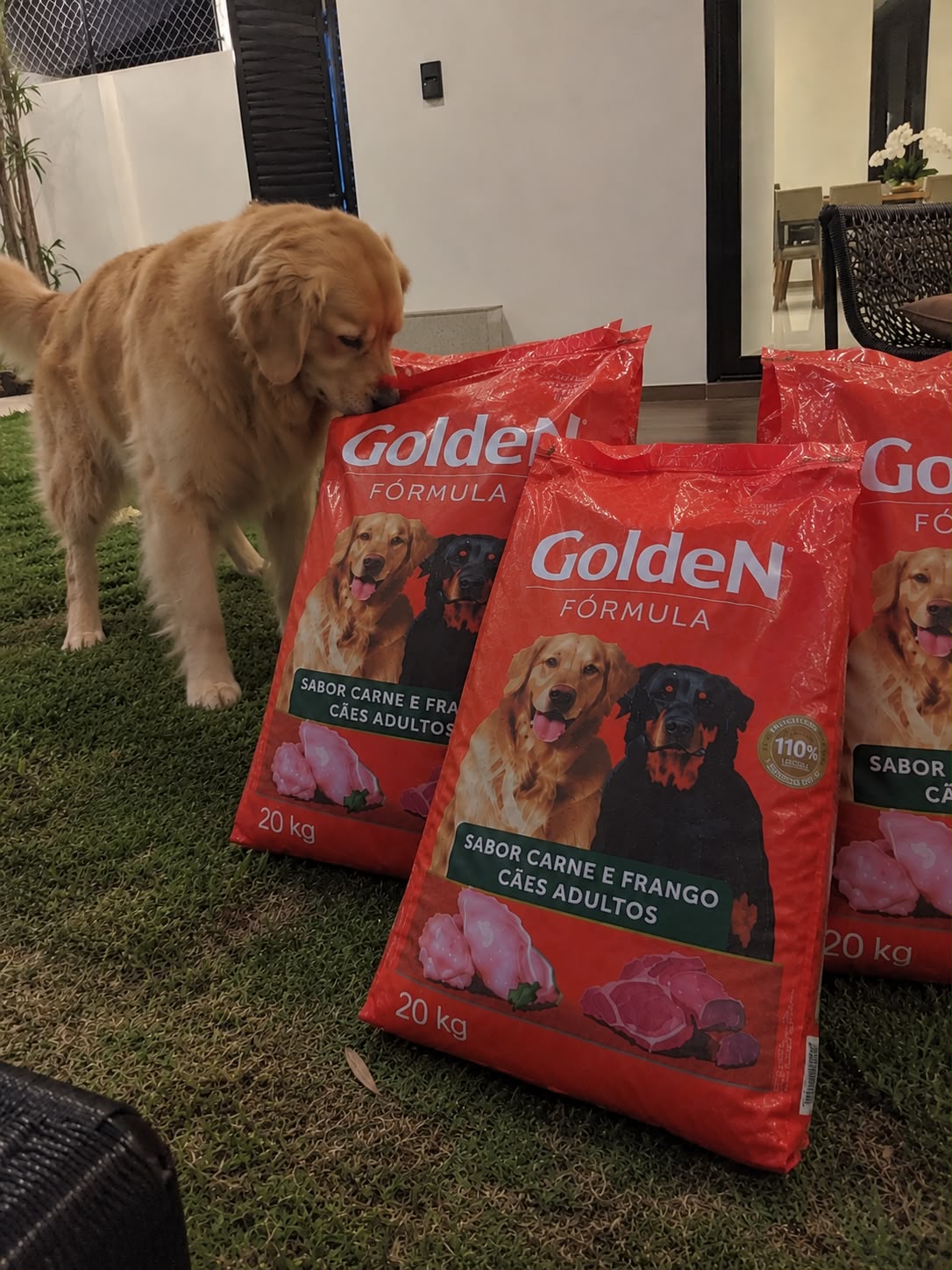 Foto do combo Golden 3x 20kg enviado por Marcos Oliveira